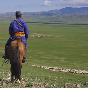 モンゴル遊牧民と精肉工場